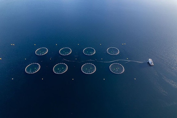 Bilde 4 av 4 i jobbannonse-galleriet