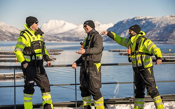 Bilde 4 av 5 i jobbannonse-galleriet