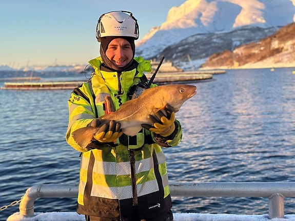 Bilde 5 av 5 i jobbannonse-galleriet