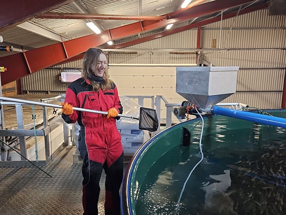 Bilde 1 av 4 i jobbannonse-galleriet