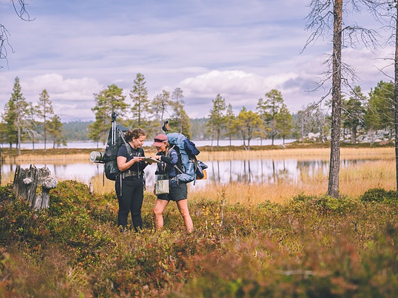 Bilde 3 av 3 i jobbannonse-galleriet
