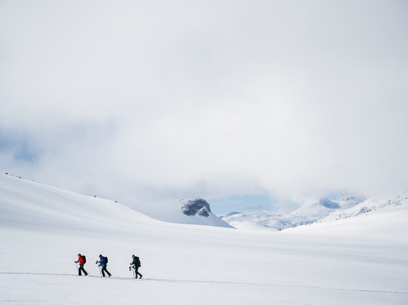 Bilde 2 av 3 i jobbannonse-galleriet