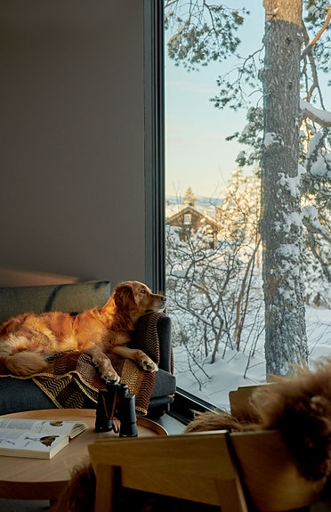 Bilde 10 av 10 i jobbannonse-galleriet