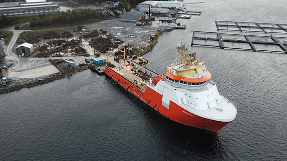 Bilde 3 av 3 i jobbannonse-galleriet