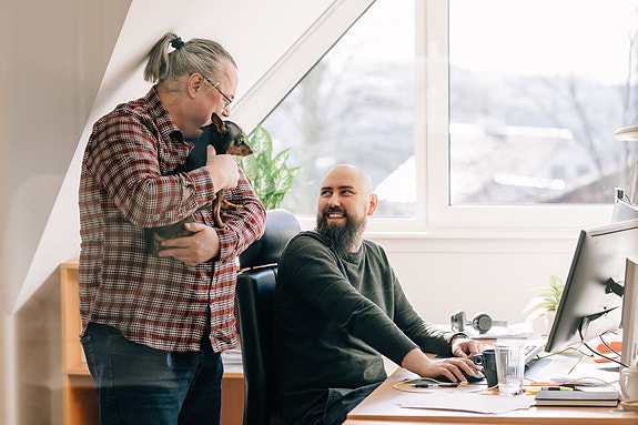 Bilde 2 av 4 i jobbannonse-galleriet