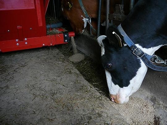 Bilde 5 av 6 i jobbannonse-galleriet