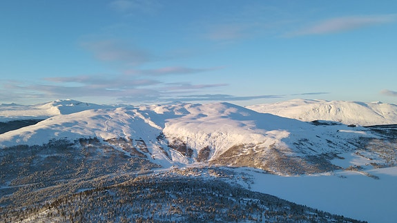 Bilde 2 av 3 i jobbannonse-galleriet