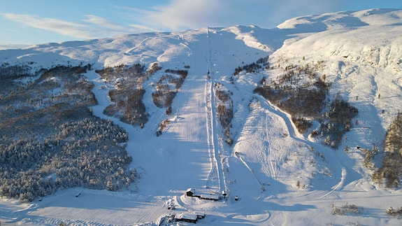 Bilde 3 av 3 i jobbannonse-galleriet