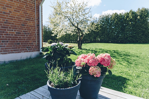 Bilde 1 av 1 i jobbannonse-galleriet