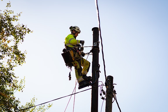 Bilde 3 av 4 i jobbannonse-galleriet