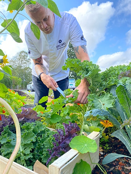 Vi har vår egen grønnsakshage rett utenfor Kolibri Voldsløkka