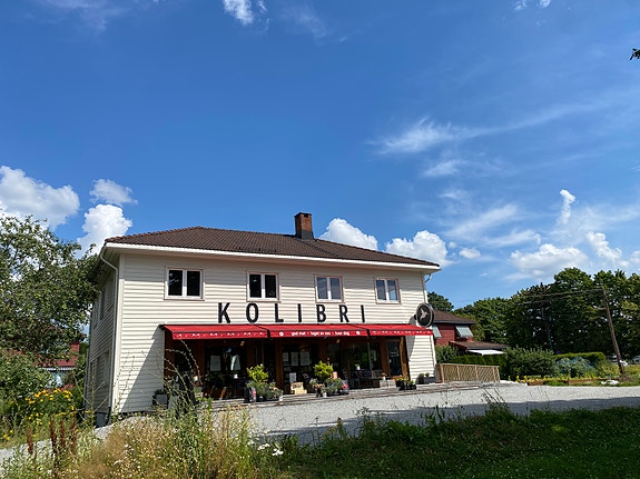 Kolibri ved Voldsløkka