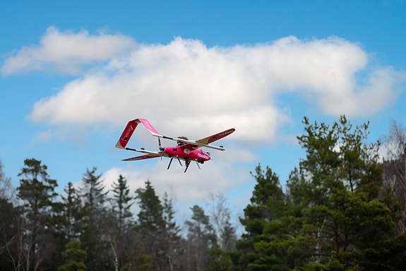 Bilde 4 av 5 i jobbannonse-galleriet