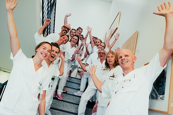 Bilde 3 av 5 i jobbannonse-galleriet