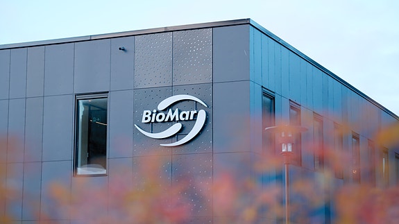 Bilde 2 av 3 i jobbannonse-galleriet