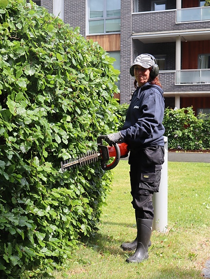 Bilde 3 av 3 i jobbannonse-galleriet