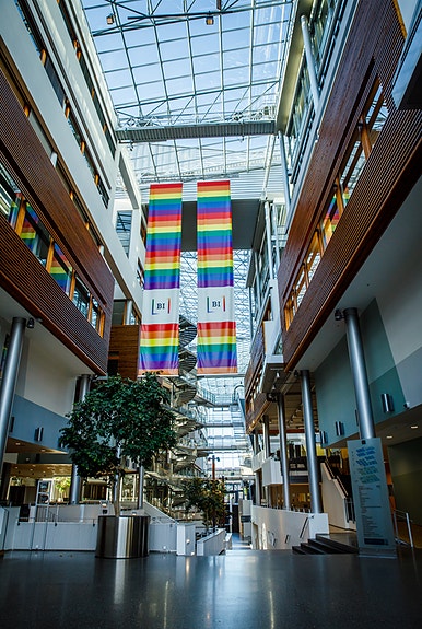 Bilde 5 av 10 i jobbannonse-galleriet