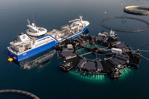 Bilde 7 av 9 i jobbannonse-galleriet