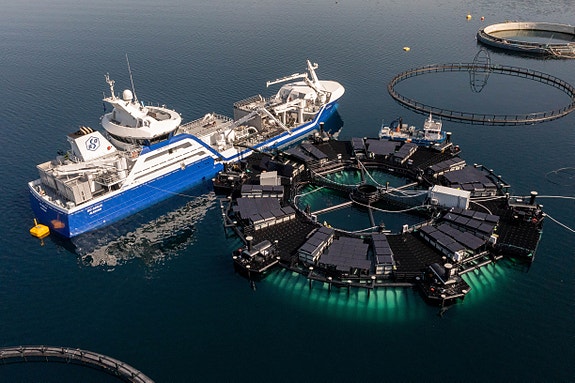 Bilde 7 av 9 i jobbannonse-galleriet