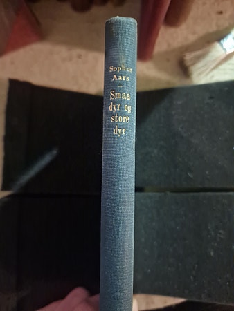 Sophus Aars – signert førsteutgave + illustrert bok