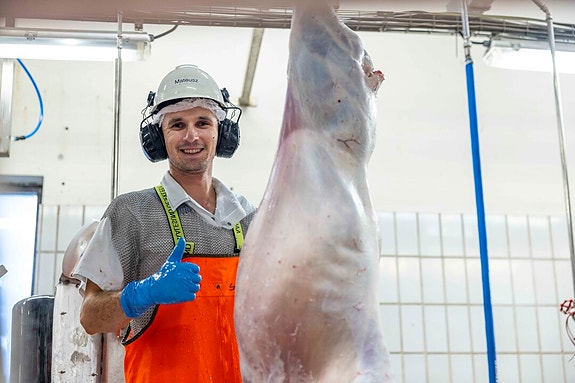 Bilde 5 av 7 i jobbannonse-galleriet