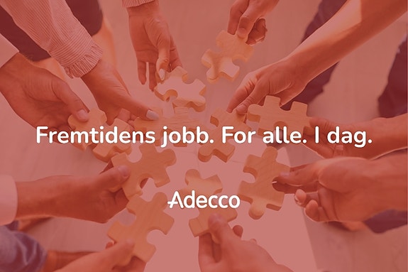 Bilde 1 av 1 i jobbannonse-galleriet