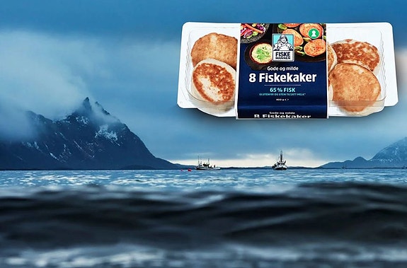 Bilde 4 av 8 i jobbannonse-galleriet