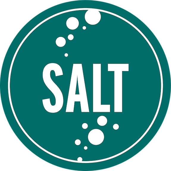 SALT logo
