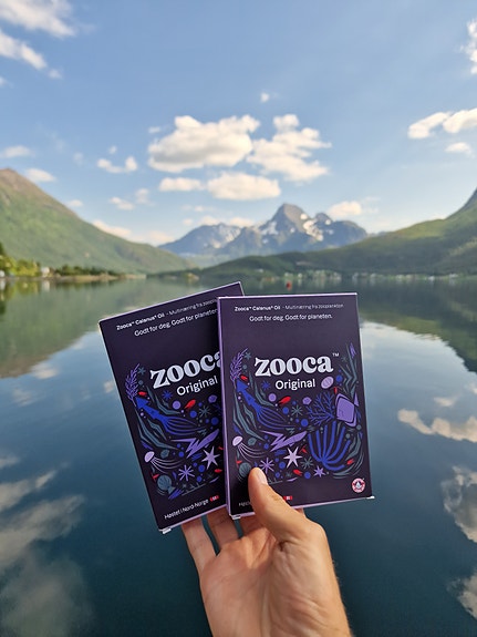 Bilde 1 av 4 i jobbannonse-galleriet