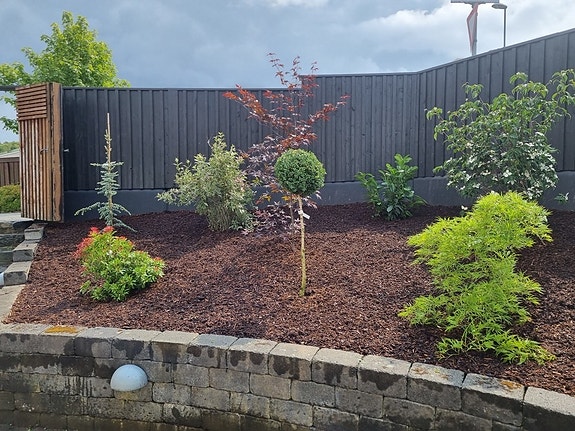 Bilde 1 av 10 i jobbannonse-galleriet