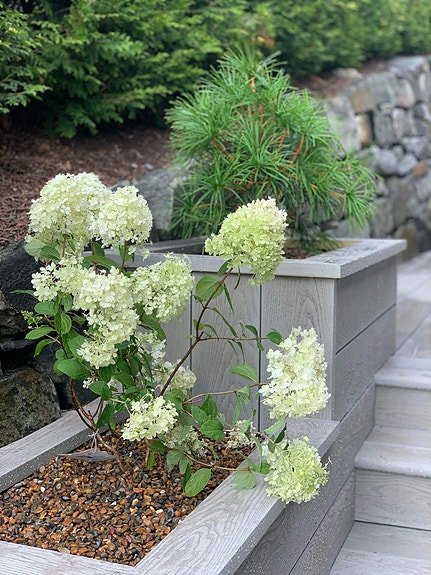 Bilde 7 av 10 i jobbannonse-galleriet