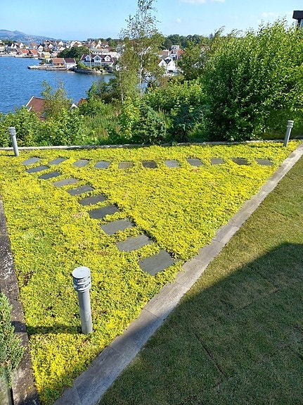 Bilde 8 av 10 i jobbannonse-galleriet