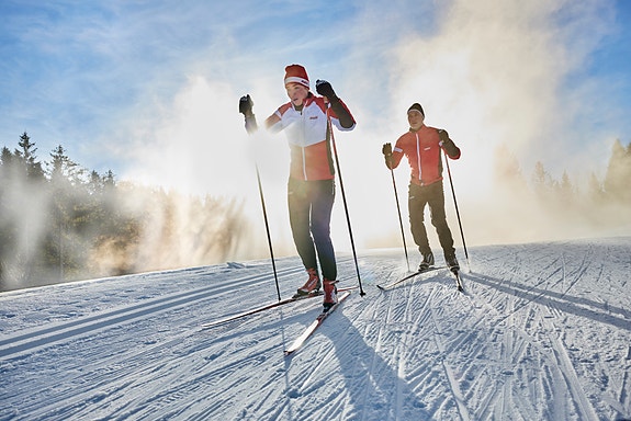 Bilde 3 av 5 i jobbannonse-galleriet