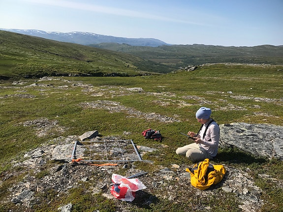 Arealrepresentativ naturovervåking (ANO)