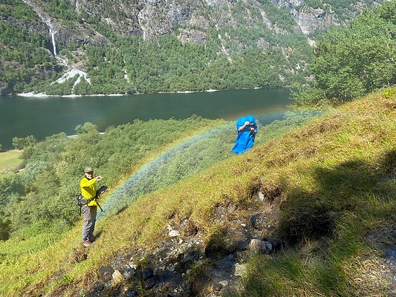 Kartlegging for skjøtselsplan i Sogn