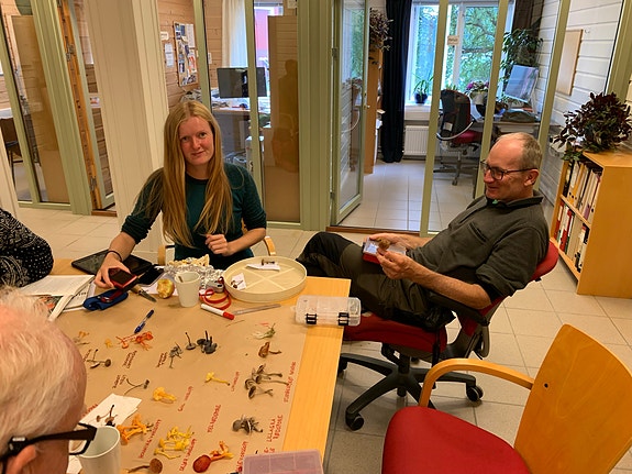 Fra internt soppkurs i våre kontorlokaler i Tingvoll