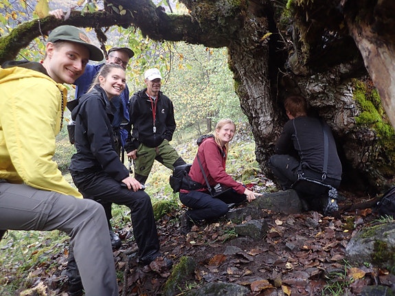 Kartlegging av arter på alm i Mørkridsdalen
