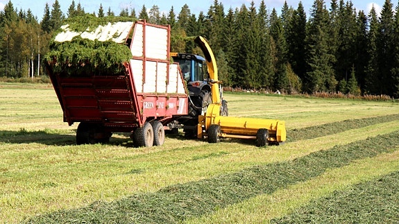 Elho DC 2100 dobbelkutter 4 of 7