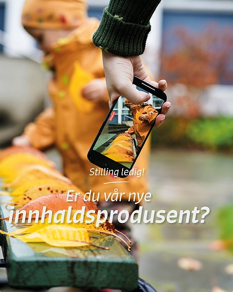 Bilde 2 av 2 i jobbannonse-galleriet