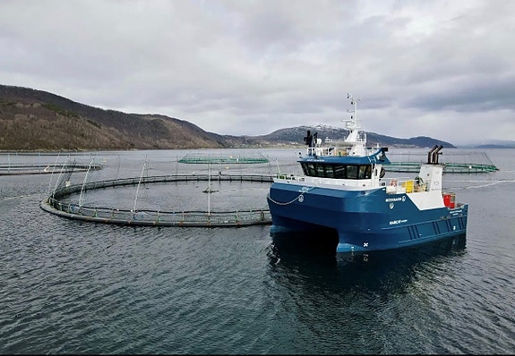 Ny pris! M/S Håløy Vikingson 2 of 5
