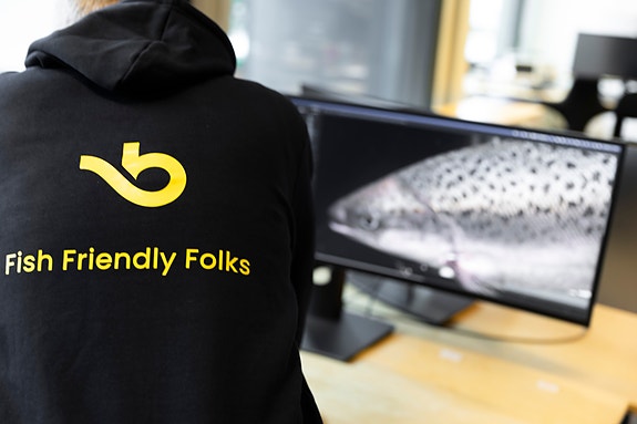 Bilde 5 av 10 i jobbannonse-galleriet