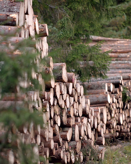 Bilde 4 av 4 i jobbannonse-galleriet