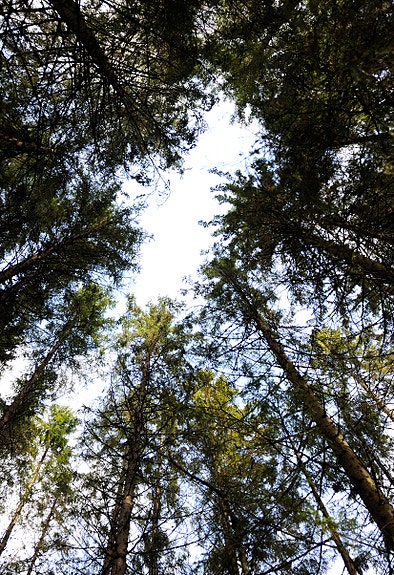 Bilde 3 av 4 i jobbannonse-galleriet