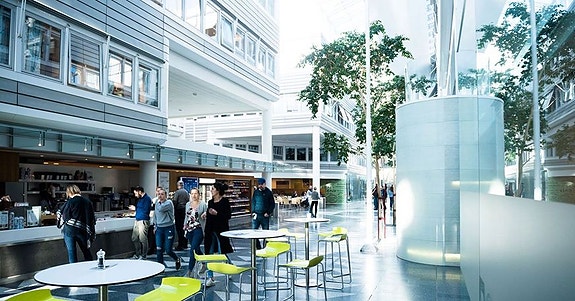 Bilde 1 av 3 i jobbannonse-galleriet