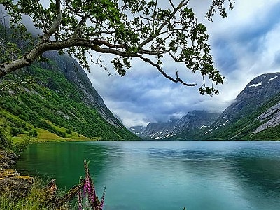 Bilde 1 av 1 i jobbannonse-galleriet