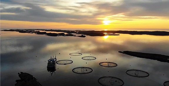 Bilde 1 av 1 i jobbannonse-galleriet