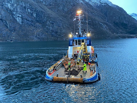 Bilde 3 av 4 i jobbannonse-galleriet