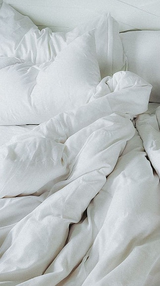 Bilde 5 av 21 i jobbannonse-galleriet