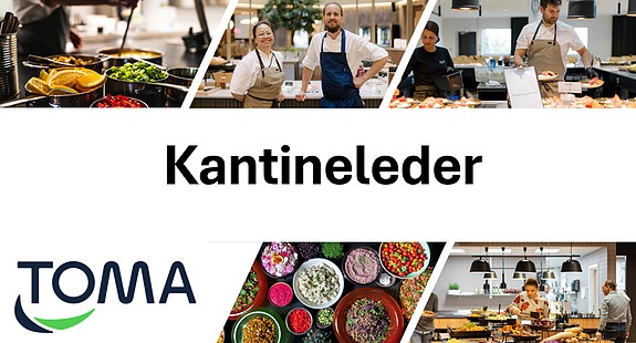 Bilde 1 av 4 i jobbannonse-galleriet