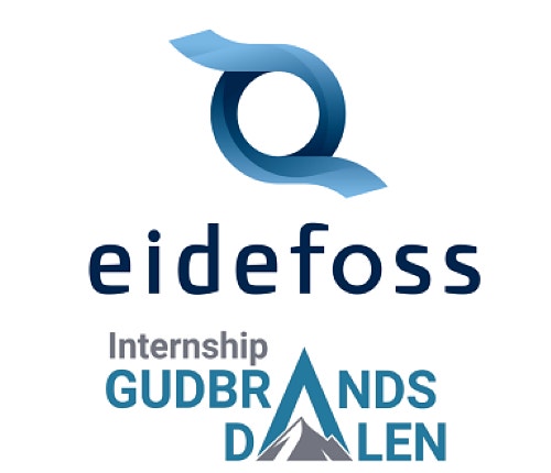 AS Eidefoss logo